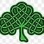 Image result for Celtics Shamrock Logo