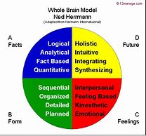 Image result for Brain Quadrants