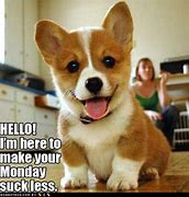 Image result for Happy Corgi Dog Monday