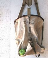 Image result for Apple-Picking Bags