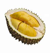 Image result for Durian Black Gold vs Mao Shang Wang