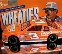 Image result for Dale Earnhardt Poems