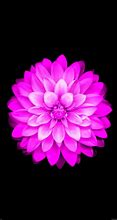 Image result for Purple Flower iPhone 6