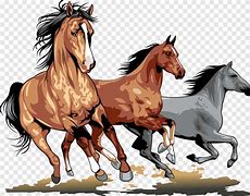 Image result for Gray-Brown Horse Clip Art