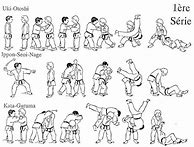 Image result for Jiu Jitsu Moves Chart