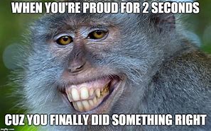 Image result for Funny Animal Being Proud