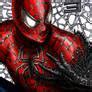 Image result for Spider-Man Fan Art Memes