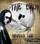 Image result for Lee Crow