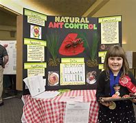Image result for Kindergarten Science Fair Projects