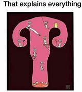 Image result for Uterus and Gun Cabinet Memes