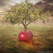 Image result for Still Life Apple Tree