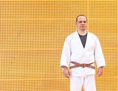 Image result for What Is a Brown Belt in Karate
