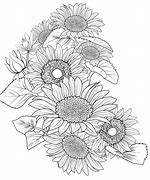 Image result for Sunflower Bouquet Outline