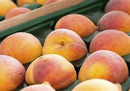 Image result for Teal Peach