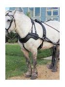 Image result for Double Horse Harness