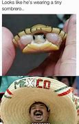 Image result for Mexican Turtle Meme