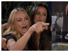 Image result for Woman Yelling at Cat Meme Template