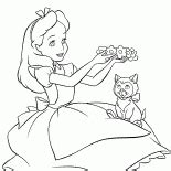 Image result for Code Portfolio Example