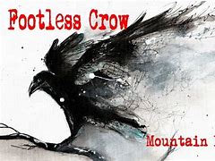 Image result for Cool Crow Art