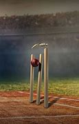 Image result for Wallpaper Cricket Umpire
