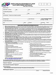 Image result for Youth Work Permit