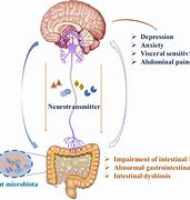 Image result for Digital Cell IBS