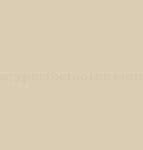 Image result for Beige Texture Paint