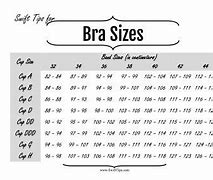 Image result for 87 Cm Cup Size
