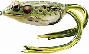 Image result for frogs top water lure
