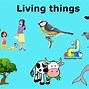 Image result for Non Living Things Cartoon