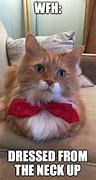 Image result for Bow Tie Meme