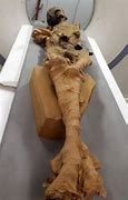 Image result for Screaming Mummy