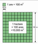 Image result for 1 Hectare in Meters