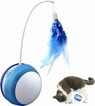 Image result for Cat Feather Ball Toy