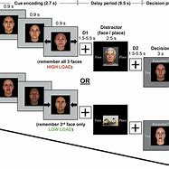 Image result for Pic of Encoding Memory Process