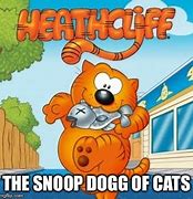Image result for Snoop Dog Meme
