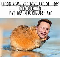 Image result for Elon Musk Asperger's