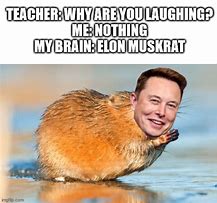 Image result for Elon Musk Surprised
