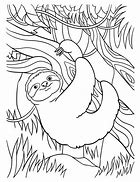 Image result for Sloth Coloring Pages