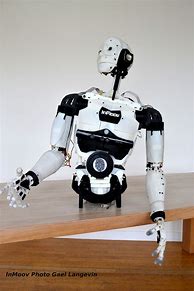 Image result for InMoov Robot