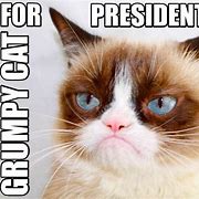 Image result for Popular Memes Grumpy Cat
