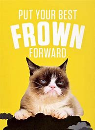 Image result for Grumpy Cat Memes Funny