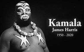 Image result for James Kamala Harris