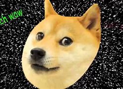 Image result for 1080 Px Doge Meme