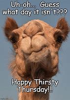 Image result for Happy Thirsty Thursday Meme