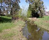 Image result for 1801 East Cotati Avenue, Rohnert Park, CA 94928 United States