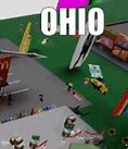 Image result for Roblox Ohio Funny Memes