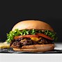 Image result for Burger Food Photography