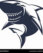 Image result for Shark Logo Vector
