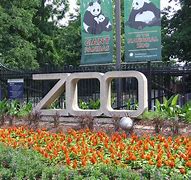 Image result for National Zoo Park